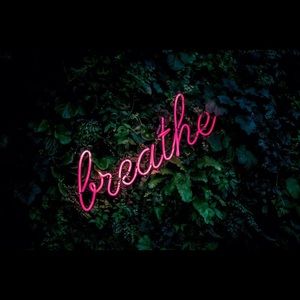 Meet your Posher, Dora